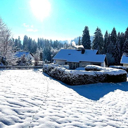 Michels Apartment Titisee-Neustadt Ngoại thất bức ảnh