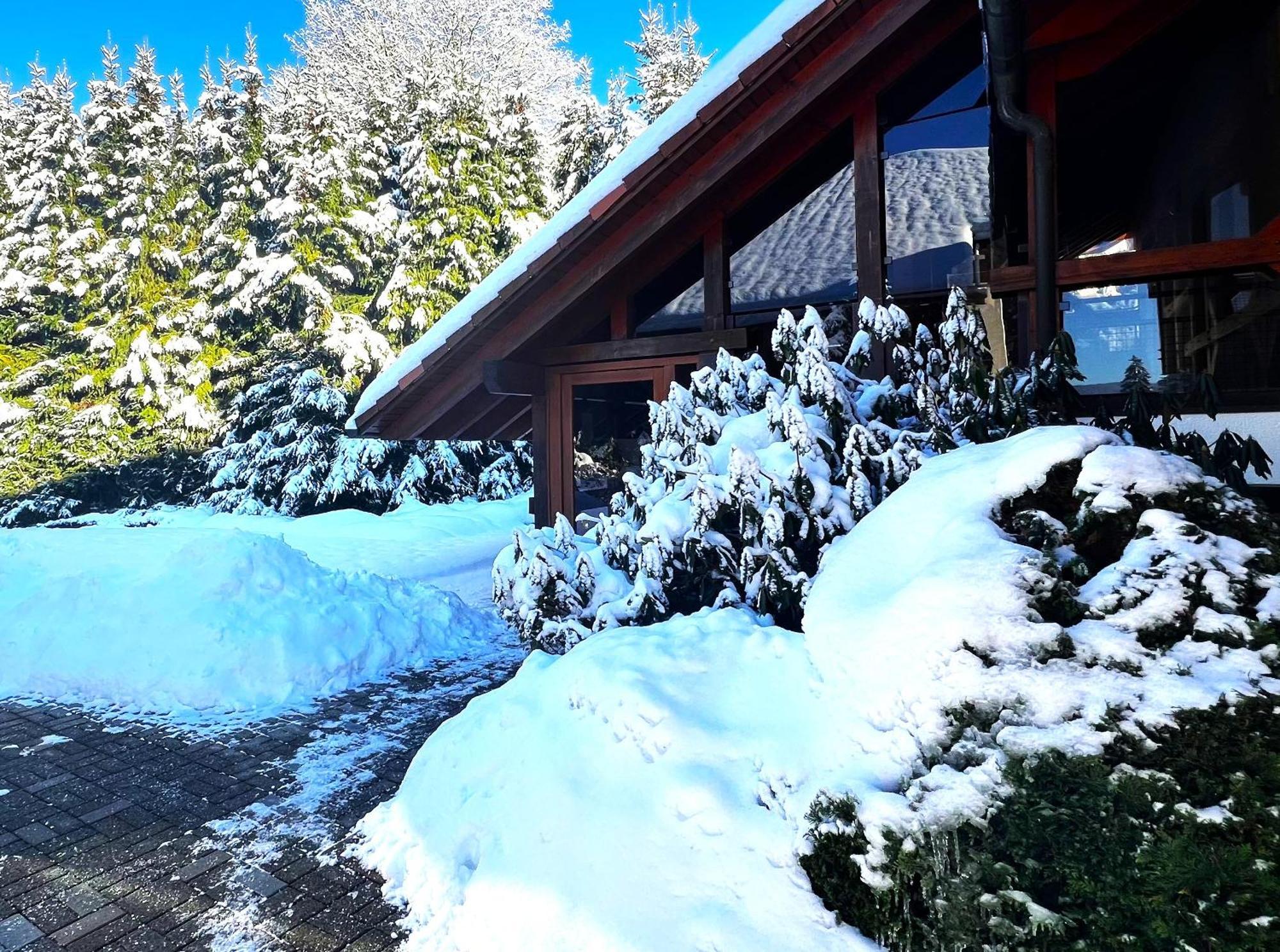 Michels Apartment Titisee-Neustadt Ngoại thất bức ảnh