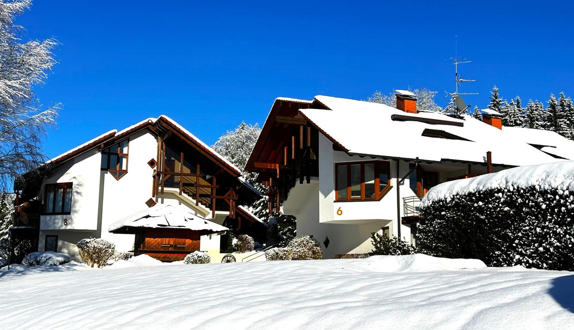 Michels Apartment Titisee-Neustadt Ngoại thất bức ảnh